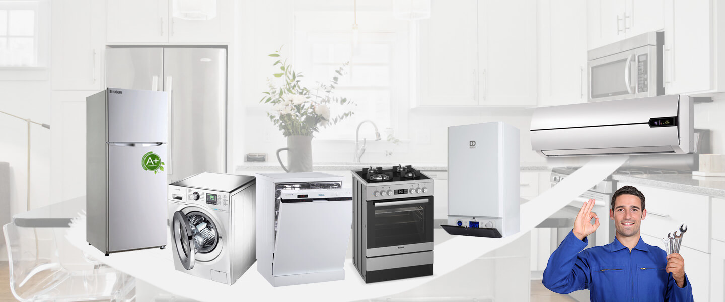 Sındırgı Silverline Servisi